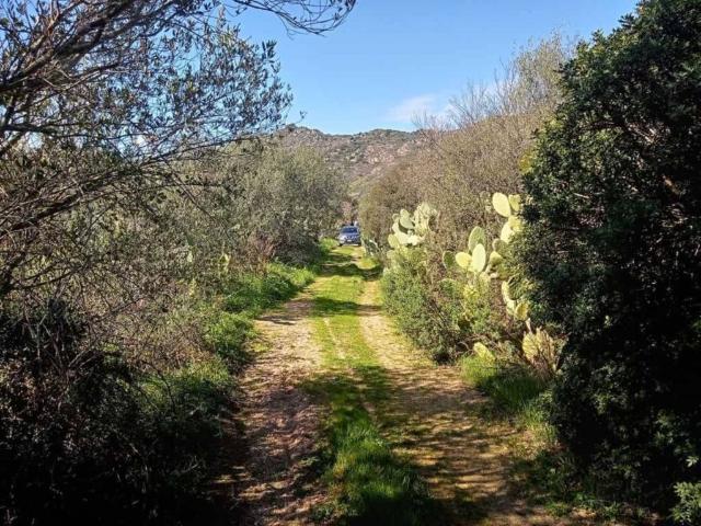 Terreno in vendita a Puntaldia, Sardigna/Sardegna