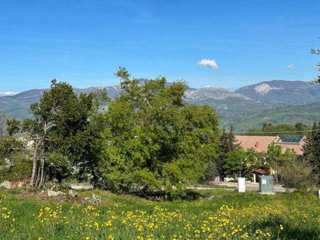 Terreno in vendita a San Valentino In Abruzzo, Abruzzo