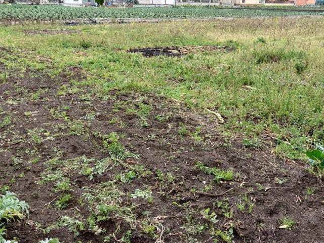 Terreno in vendita a San Valentino Torio, Campania