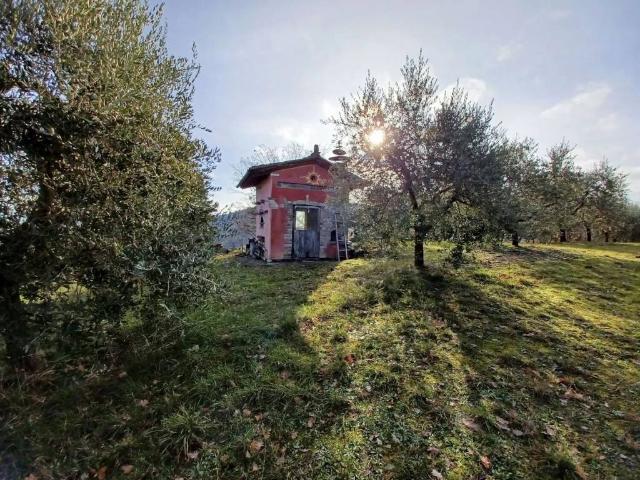 Terreno in vendita a San Venanzo, Umbria