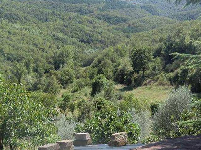 Terreno in vendita a San Venanzo, Umbria