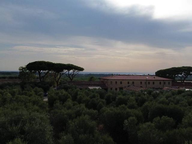 Terreno in vendita a Zona San Filippo, San Vincenzo