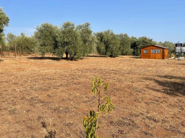 Terreno in vendita a Venturina Terme, Campiglia Marittima