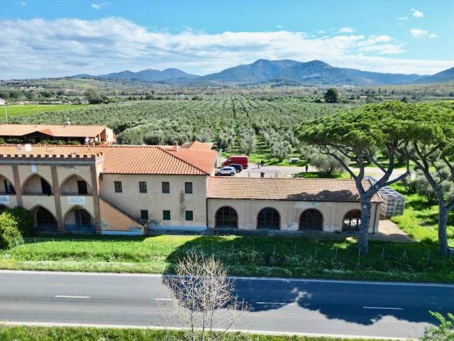 Terreno in vendita a Zona San Filippo, San Vincenzo