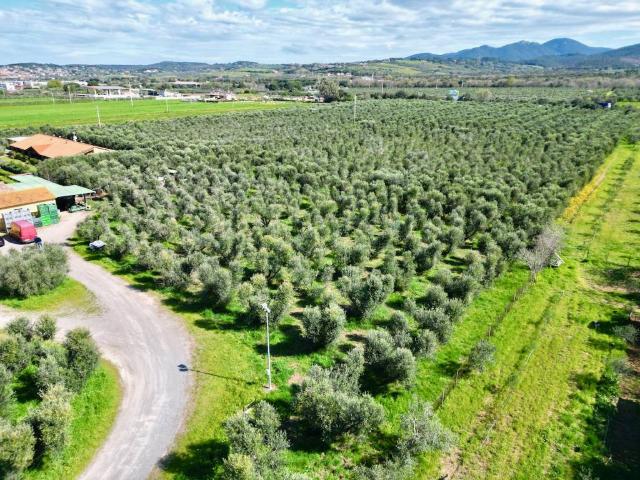 Terreno in vendita a Zona San Filippo, San Vincenzo