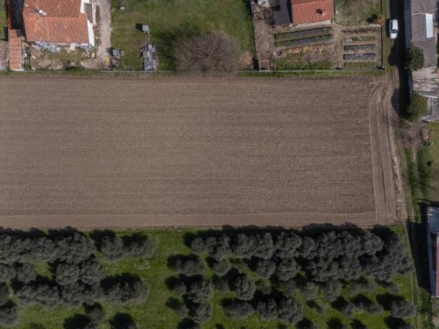 Terreno in vendita a San Vito Al Tagliamento, Friuli-Venezia Giulia