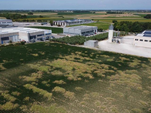 Terreno in vendita a San Vito Al Torre, Friuli-Venezia Giulia