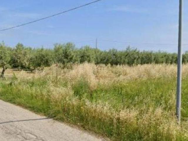 Terreno in vendita a Mancini, San Vito Chietino