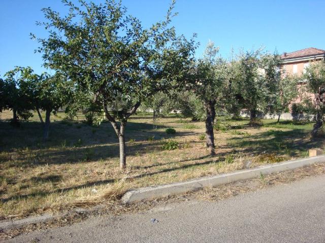 Terreno in vendita a Mancini, San Vito Chietino