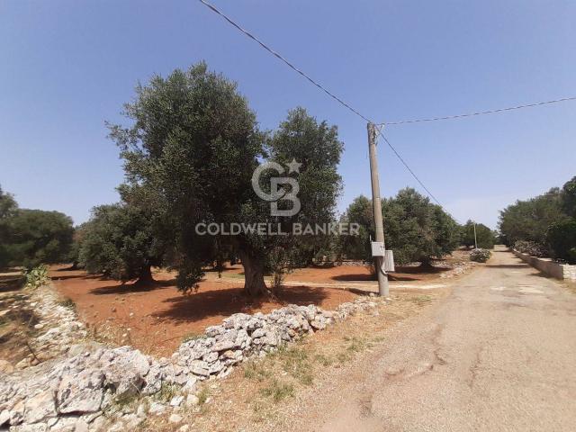 Terreno in vendita a Puglia, Brindisi