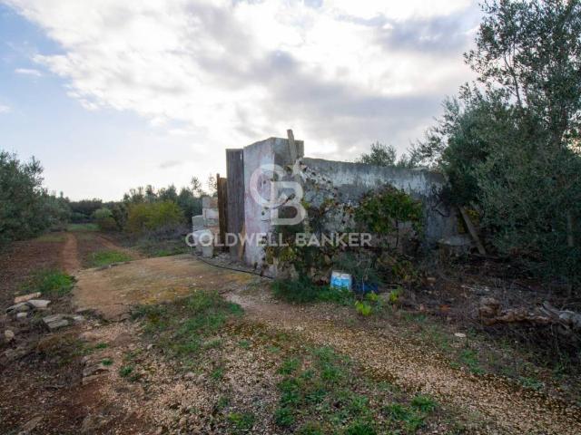 Terreno in vendita a Puglia, Brindisi