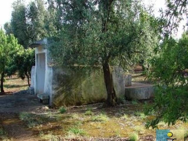 Terreno in vendita a Puglia, Brindisi