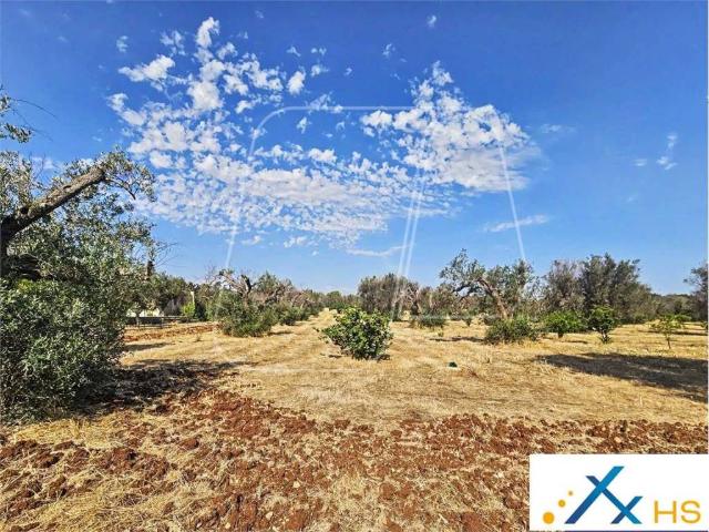 Terreno in vendita a Puglia, Brindisi