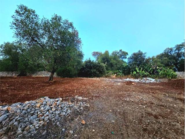 Terreno in vendita a Puglia, Brindisi