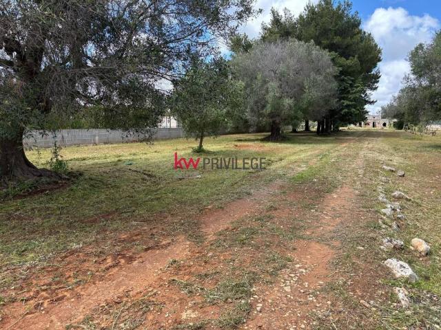 Terreno in vendita a Puglia, Brindisi
