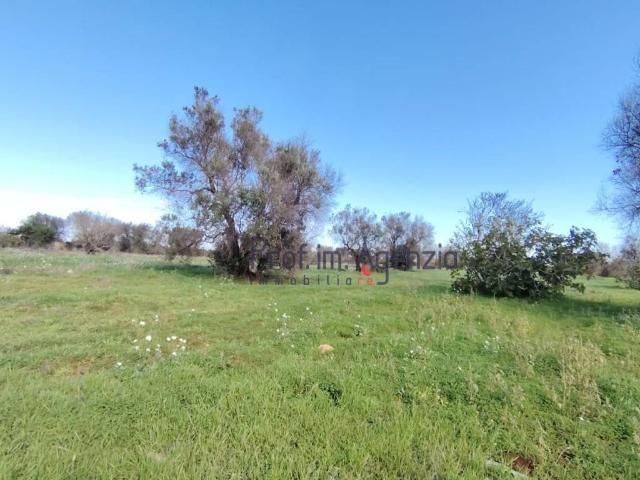 Terreno in vendita a Puglia, Brindisi