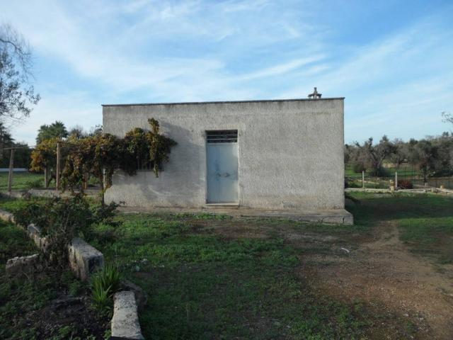 Terreno in vendita a Puglia, Brindisi