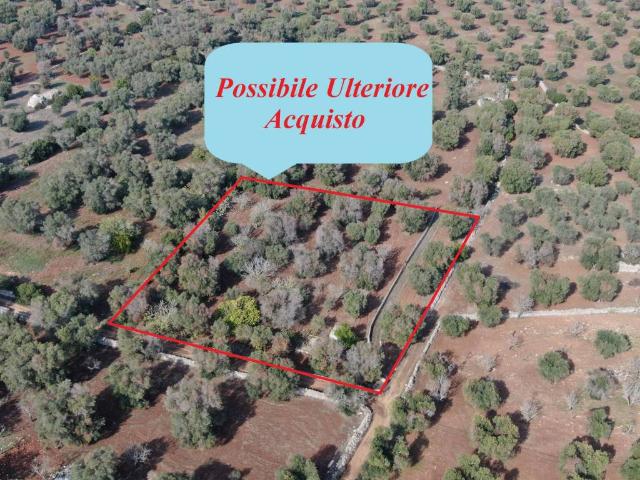 Terreno in vendita a Puglia, Brindisi