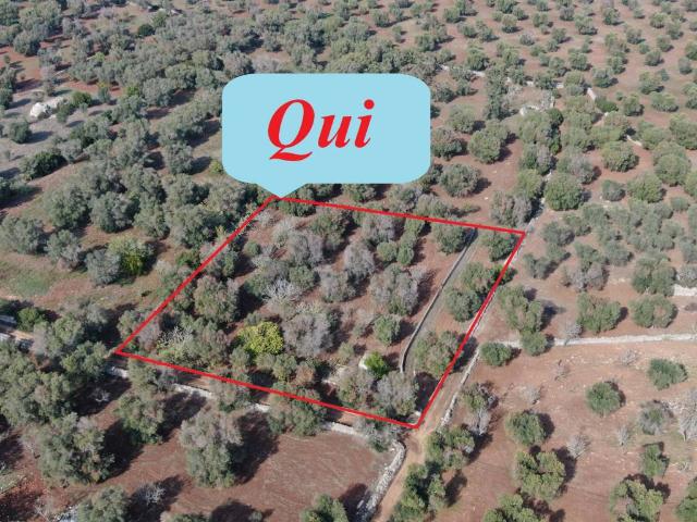 Terreno in vendita a Puglia, Brindisi