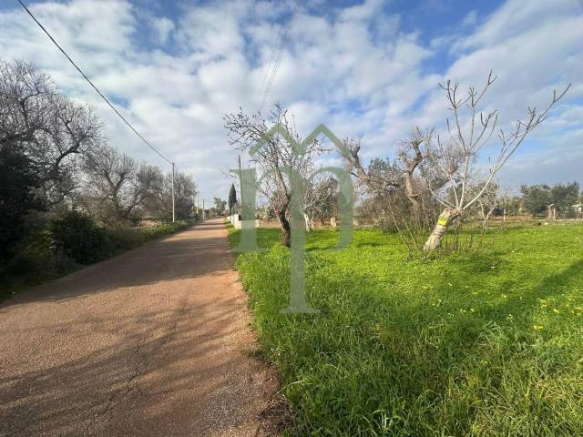 Terreno in vendita a Puglia, Brindisi