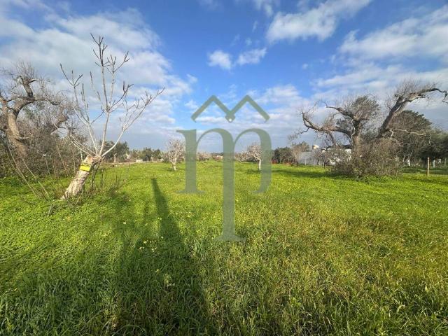 Terreno in vendita a Puglia, Brindisi