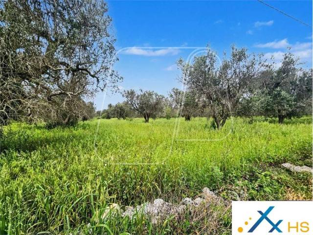 Terreno in vendita a Puglia, Brindisi