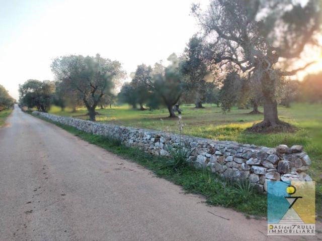 Terreno in vendita a Puglia, Brindisi
