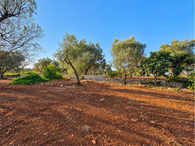 Terreno in vendita a Puglia, Brindisi