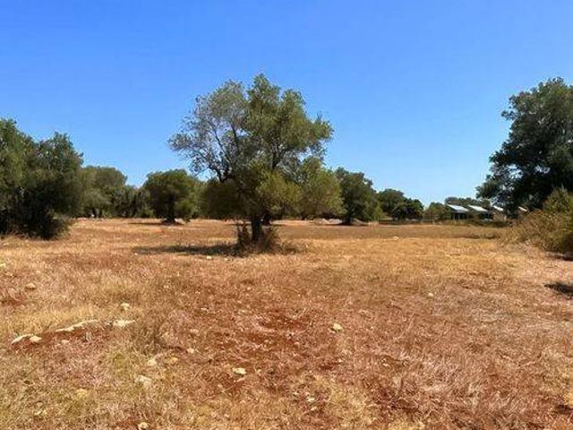 Terreno in vendita a San Vito dei Normanni, Brindisi