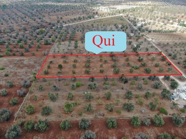 Terreno in vendita a Puglia, Brindisi