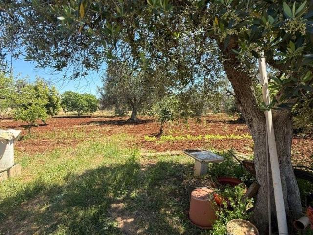 Terreno in vendita a Puglia, Brindisi