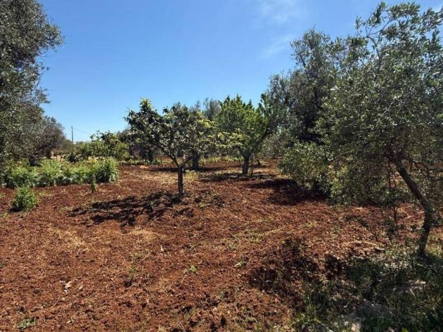 Terreno in vendita a Puglia, Brindisi