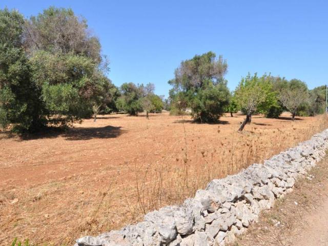 Terreno in vendita a Rione Giovanni XXIII, Puglia