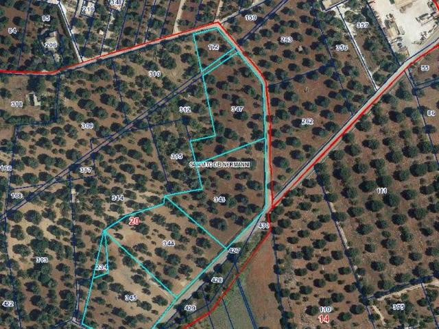 Terreno in vendita a Puglia, Brindisi