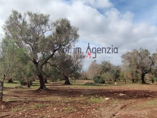 Terreno in vendita a Puglia, Brindisi