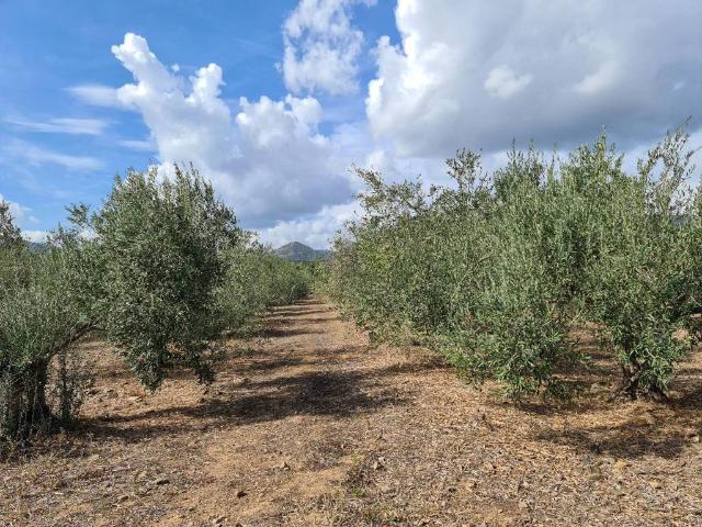 Terreno in vendita a San Vito, Sardigna/Sardegna