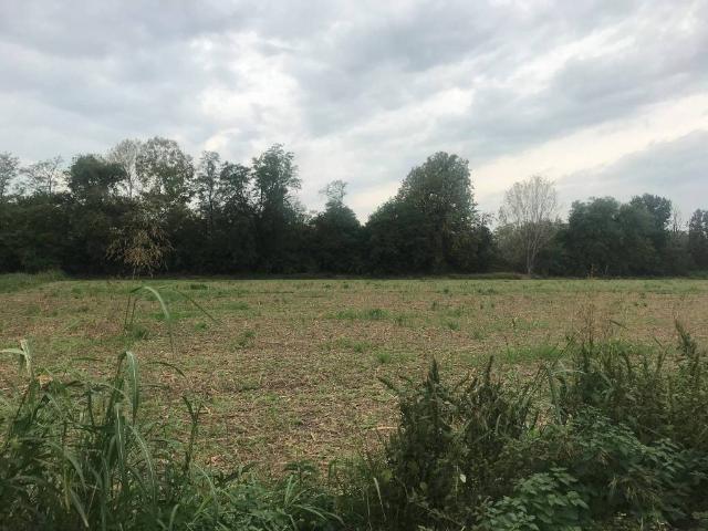 Terreno in vendita a San Zeno Naviglio, Lombardia