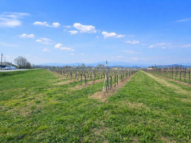 Terreno in vendita a Fonte, San Zenone Degli Ezzelini