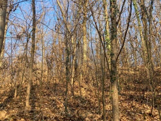Terreno in vendita a Pieve del Grappa, San Zenone Degli Ezzelini