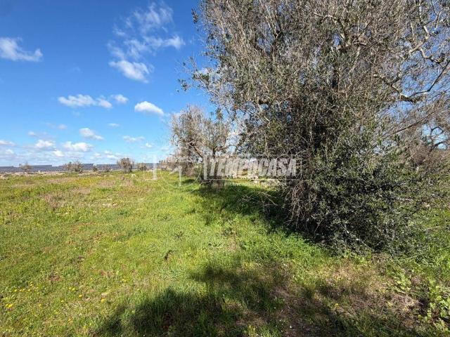 Terreno in vendita a Puglia, Lecce