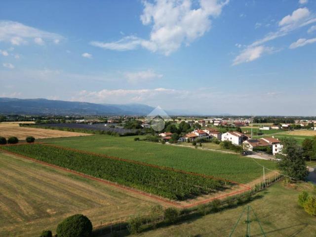 Terreno in vendita a Sandrigo, Veneto