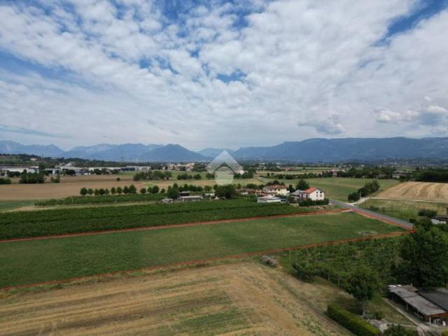 Terreno in vendita a Sandrigo, Veneto