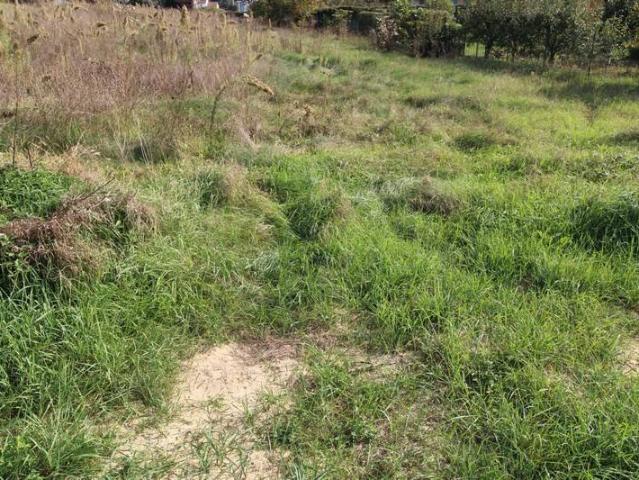 Terreno in vendita a Piemonte, Cuneo