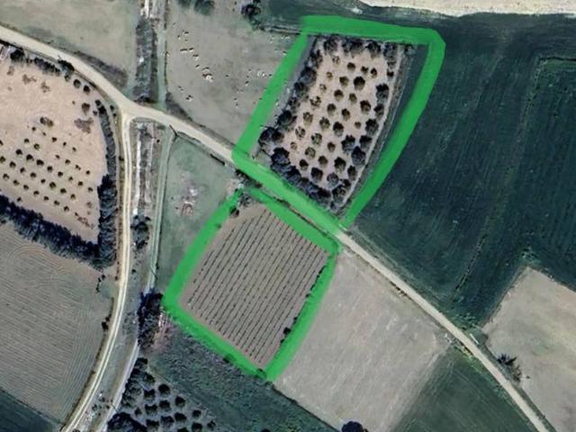 Terreno in vendita a Sanluri, Sardigna/Sardegna