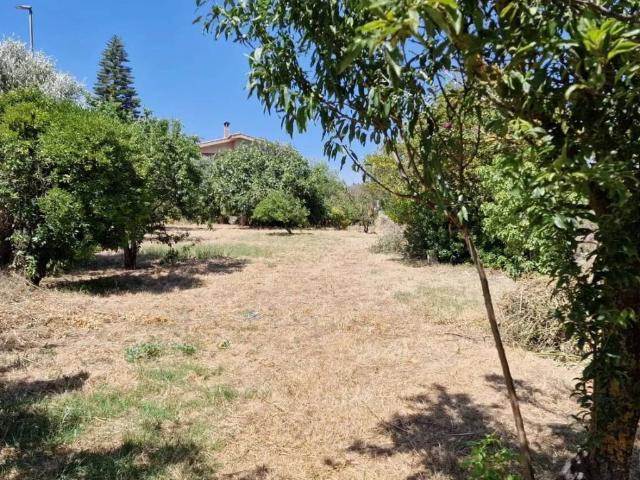 Terreno in vendita a Sanluri, Sardigna/Sardegna