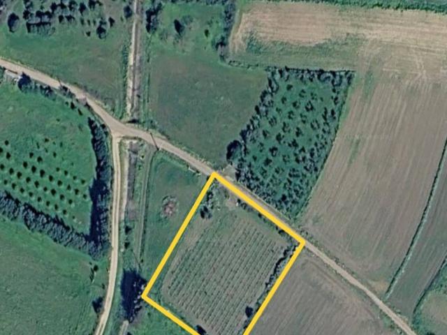 Terreno in vendita a Seddori/Sanluri, Medio Campidano