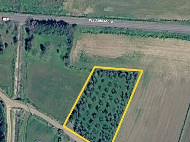Terreno in vendita a Seddori/Sanluri, Medio Campidano
