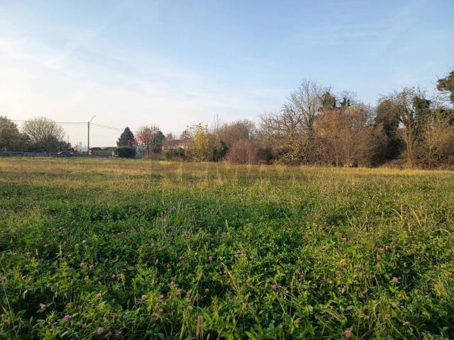 Terreno in vendita a Sannazzaro De' Burgondi, Lombardia