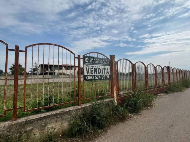 Terreno in vendita a Puglia, Bari