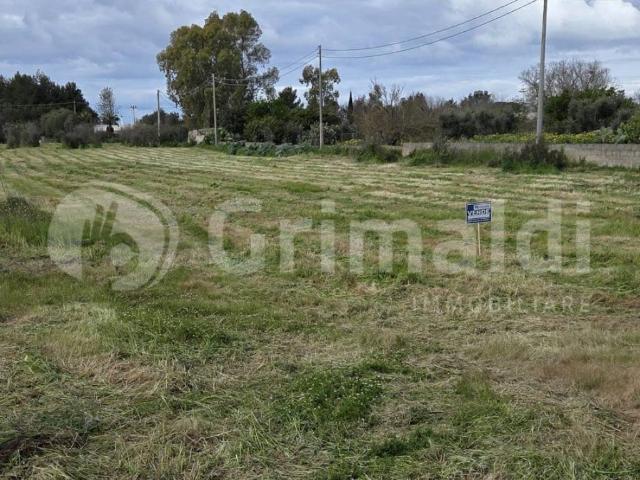Terreno in vendita a Chiesanuova, Puglia